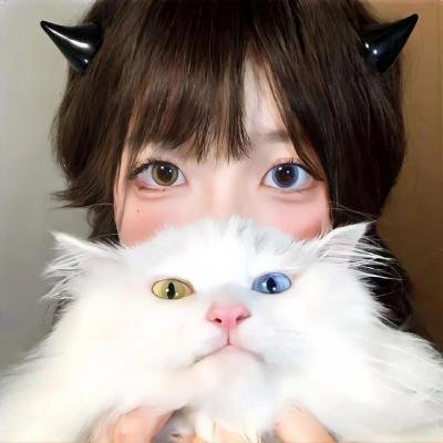 新版：国士无双